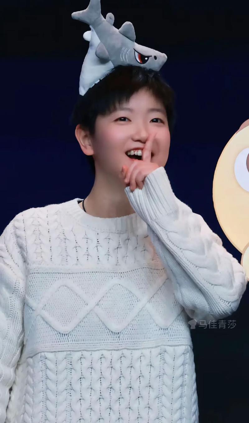 冉升起的籃