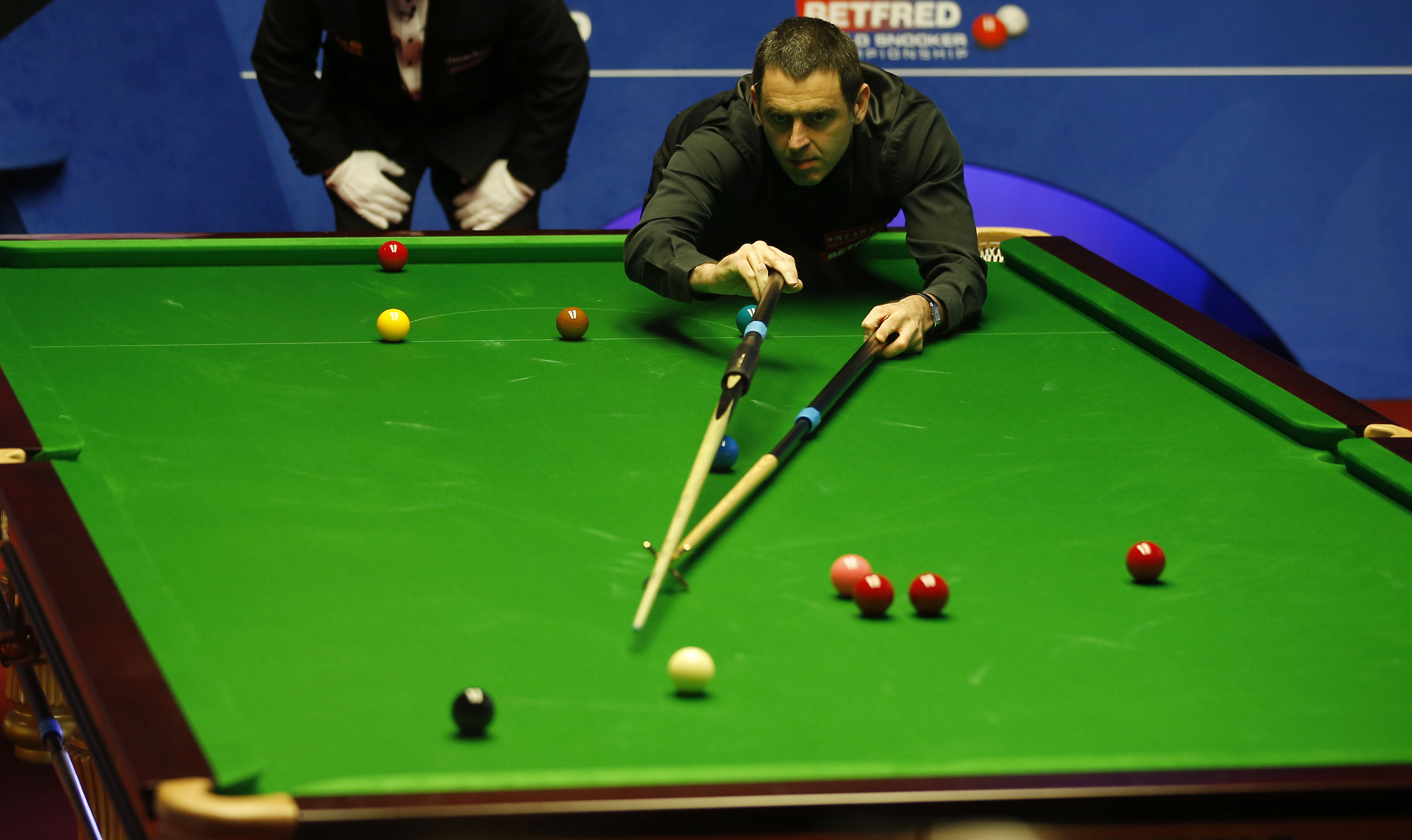 再次证明了 再次证明了