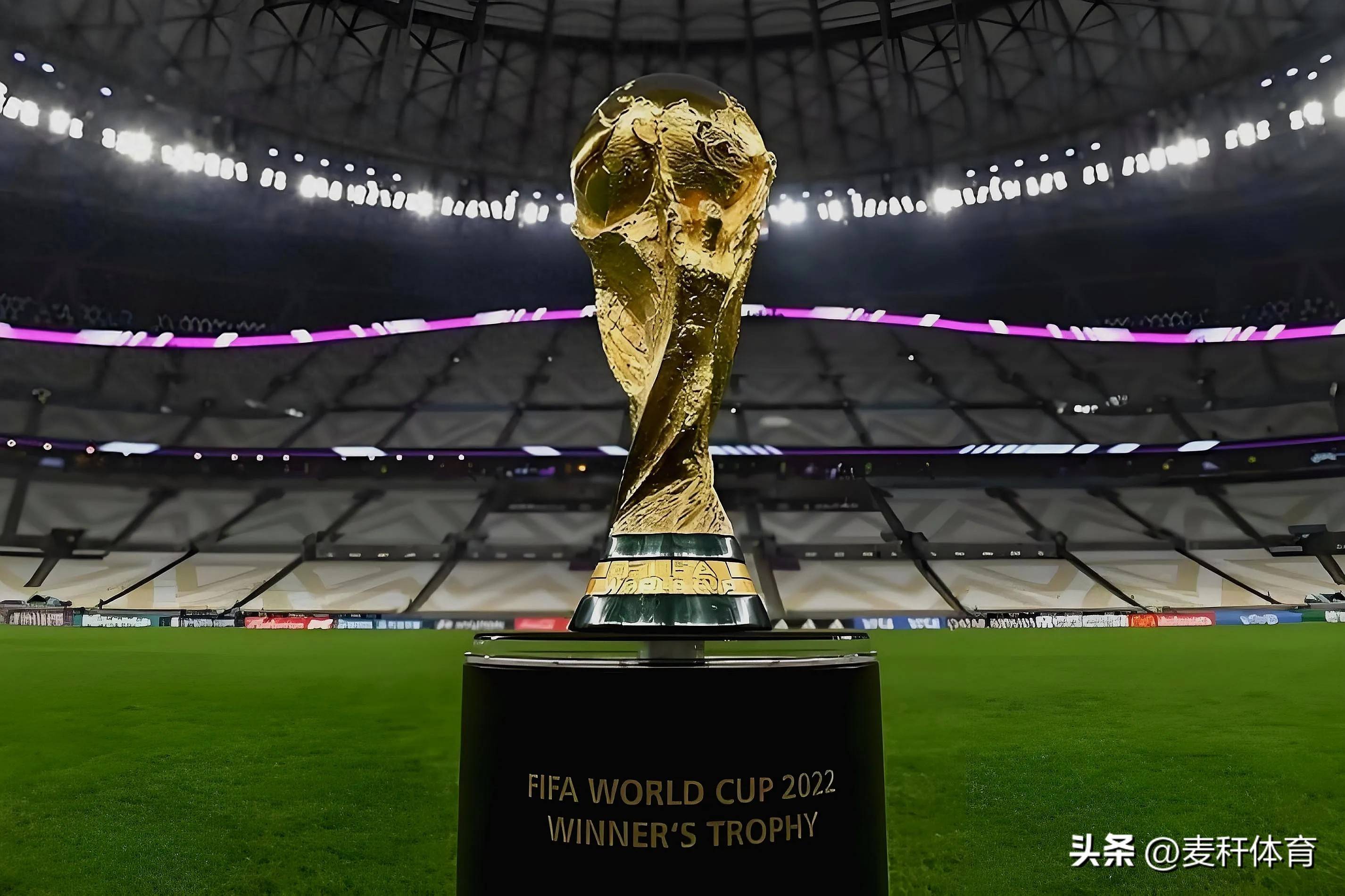 的协同支持 的协同支持