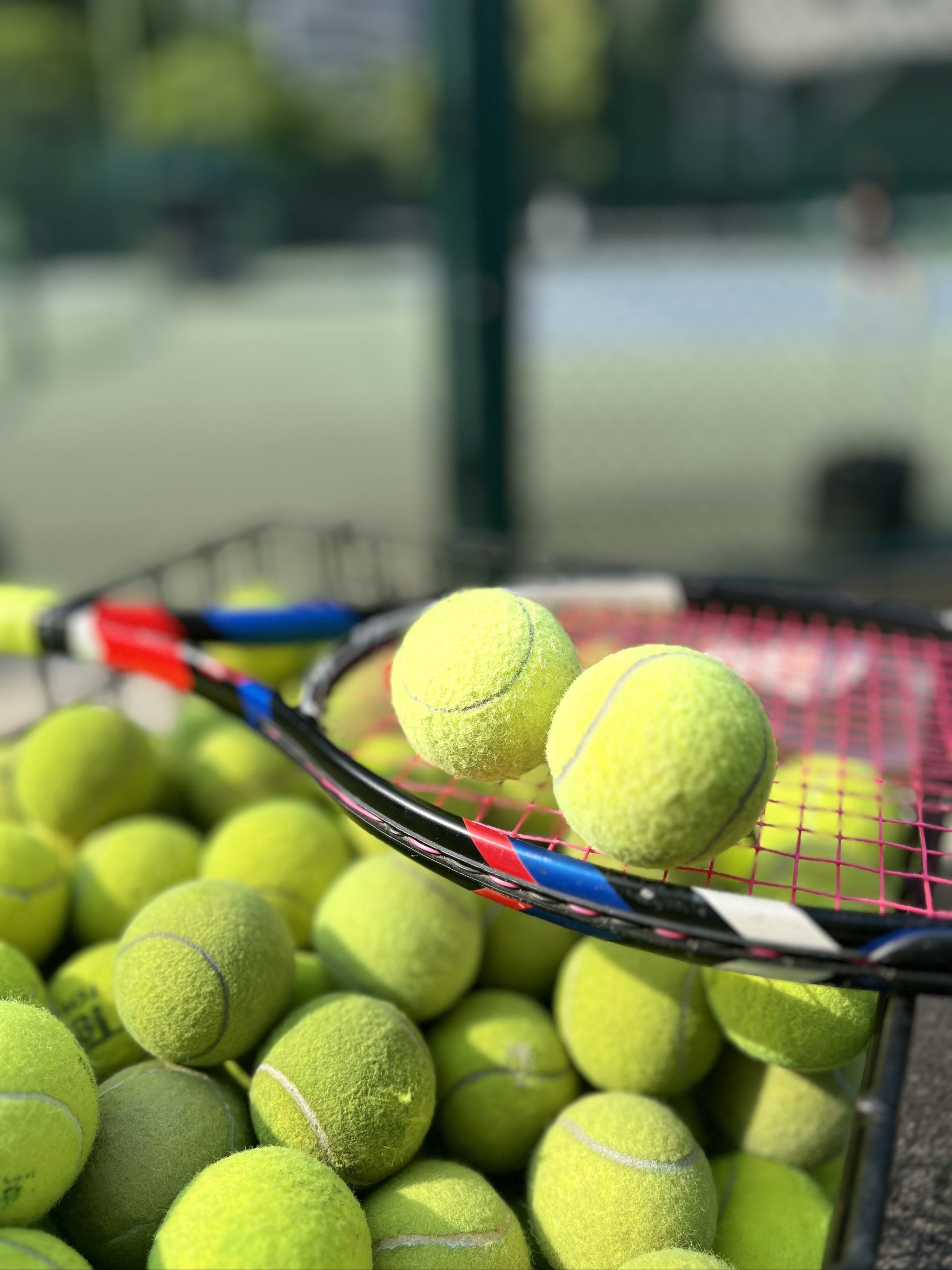 中国国足在 中国国足在