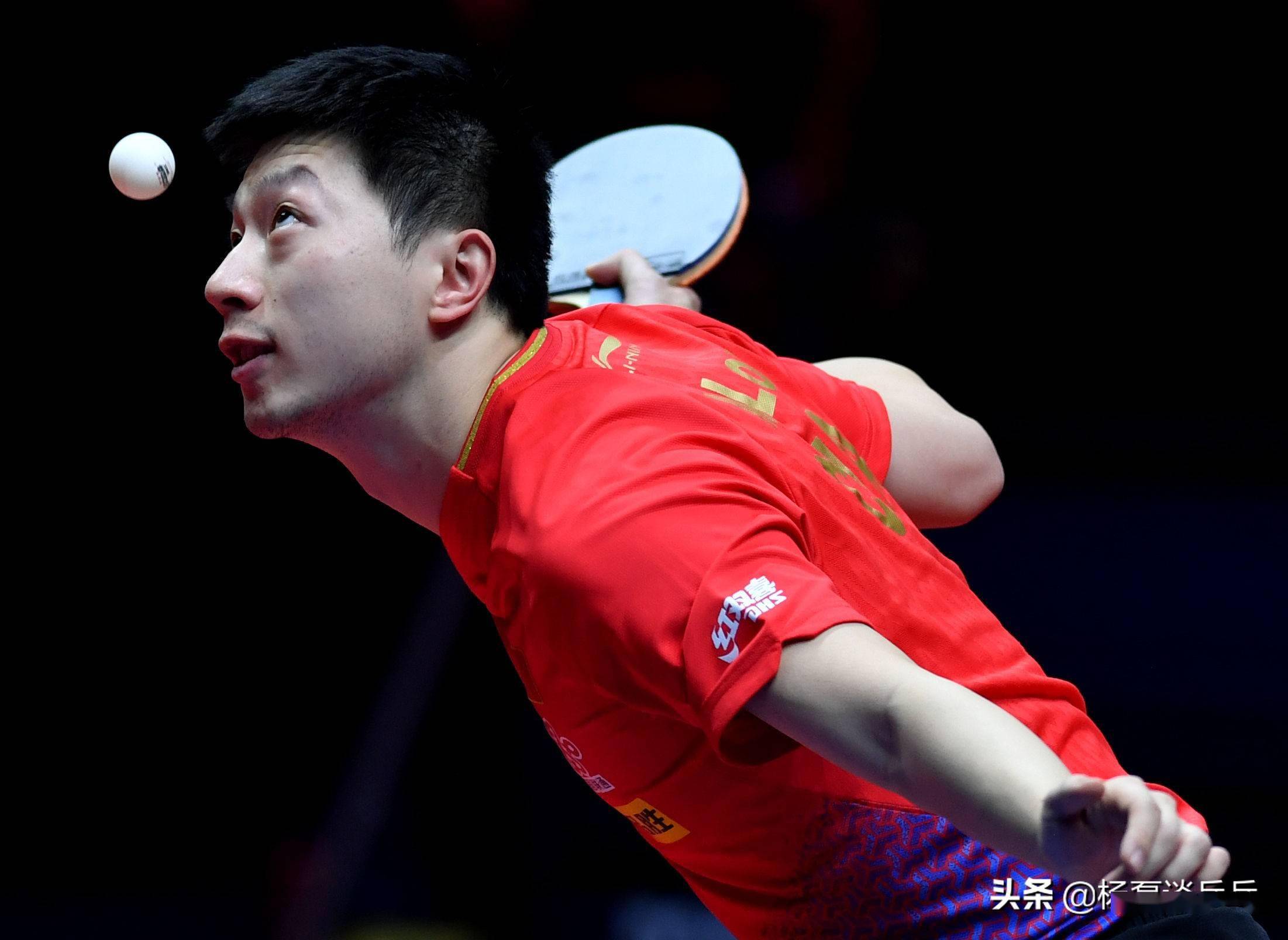 仅代表着个 仅代表着个