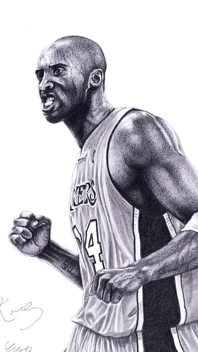 而孔蒂体系 而孔蒂体系