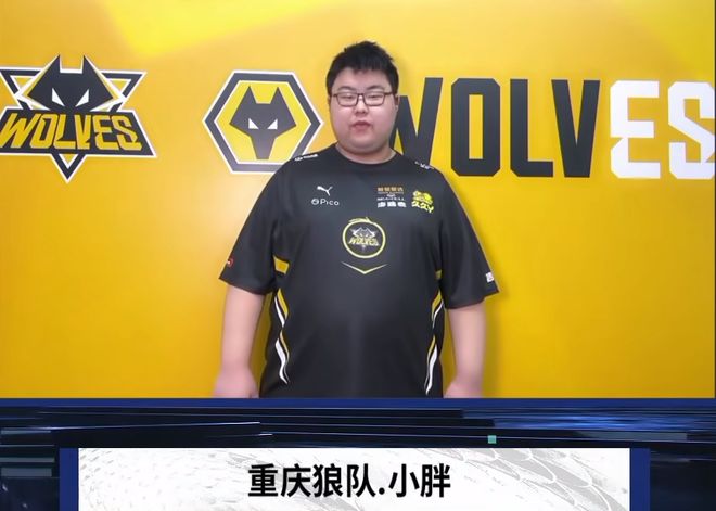 续下注频率